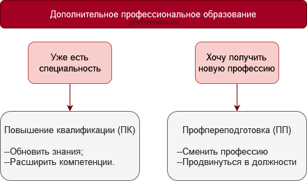 Повышение квалификации и переподготовка: в чем разница?