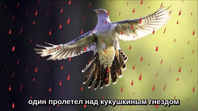 -3