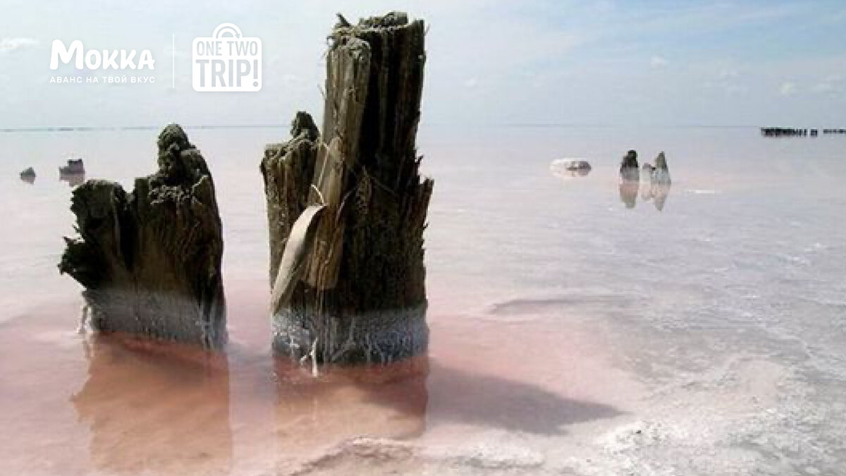 Да, вода на озере Эльтон действительно розовая!