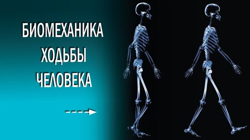 Как ходьба может помочь исправить осанку, укрепить лёгкие и глаза? Советы по объединению упражнений