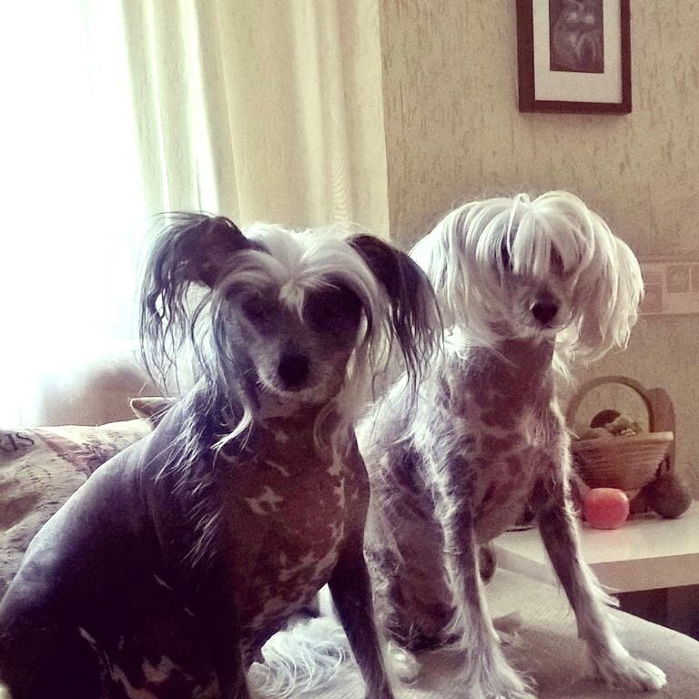 Муж и жена Тася и Кеша