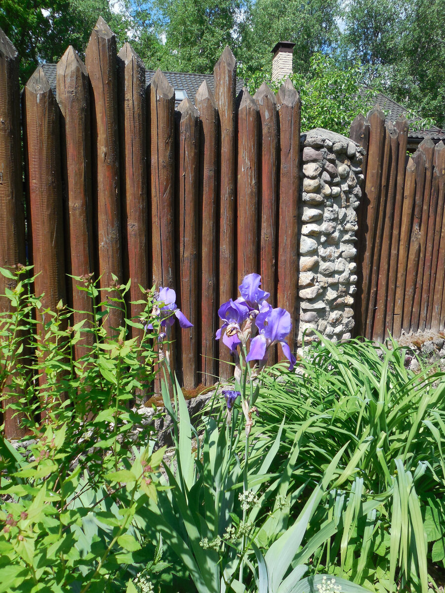 Забор из дерева, камня и цемента