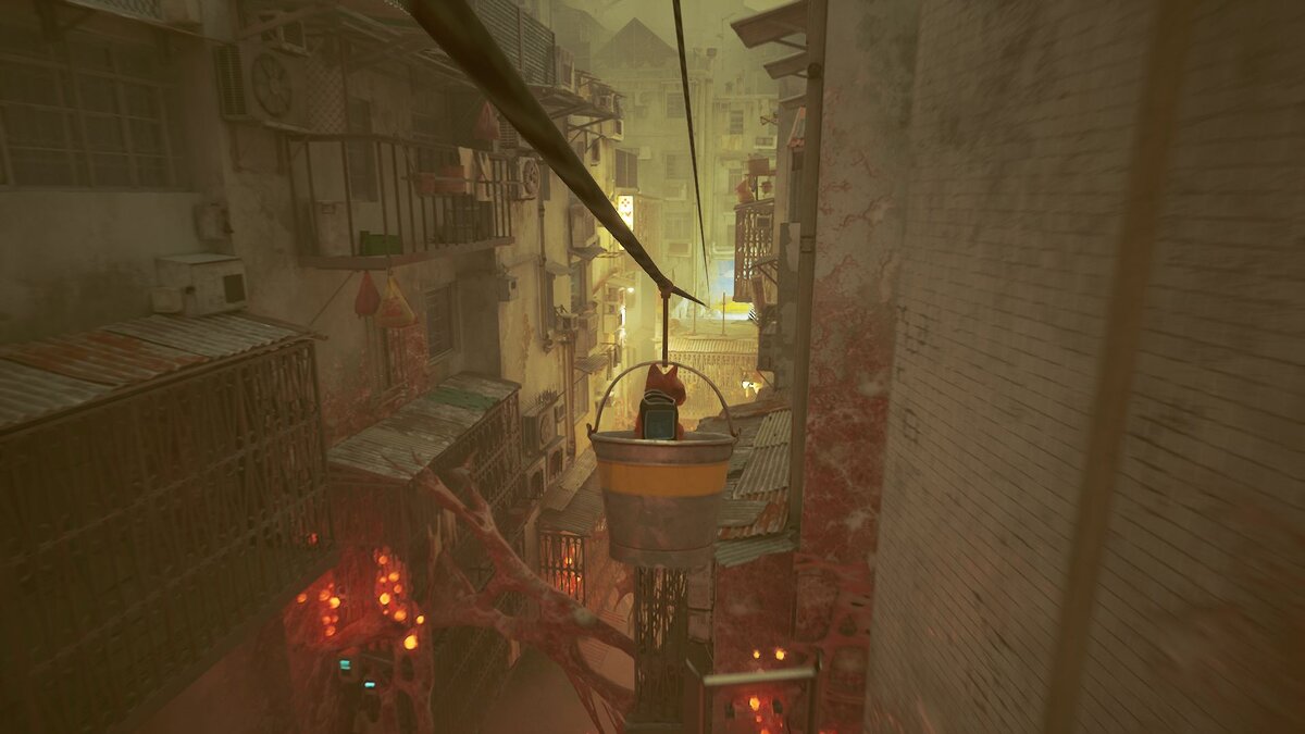 Игра глазами кота. Stray cat игра. Бездомный кот игра. Игровой кот. Stray игра 2022.