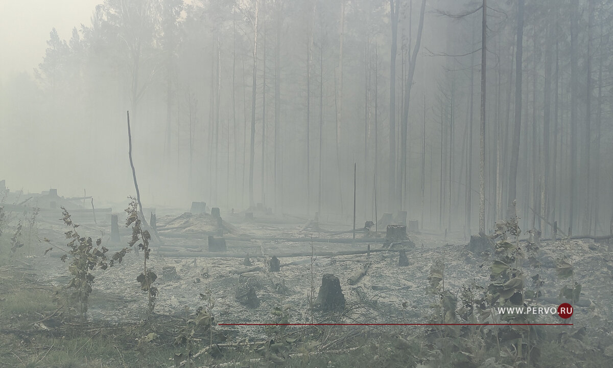 Фото © Кравчук Максим / www.pervo.ru 