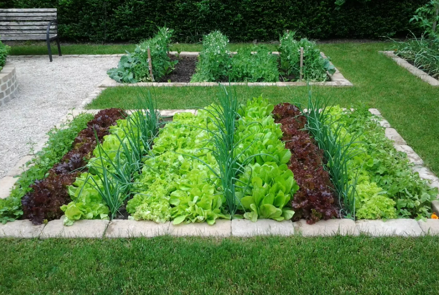 Фотография взята из источника info67.ru