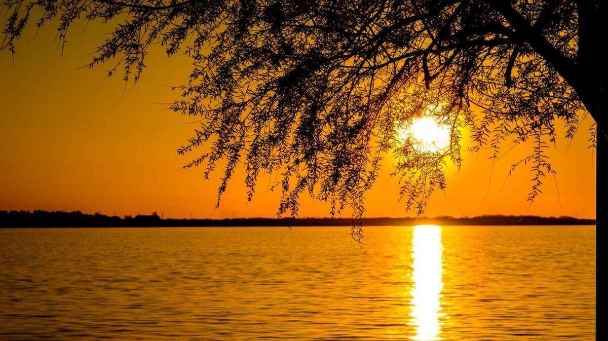 13 августа является одним из самых благоприятных дней этого месяца. Фото: Pxfuel.com