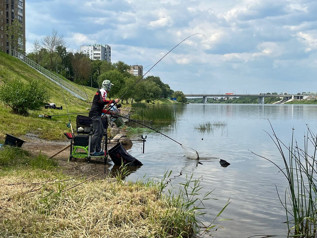 Лещ в подсачеке