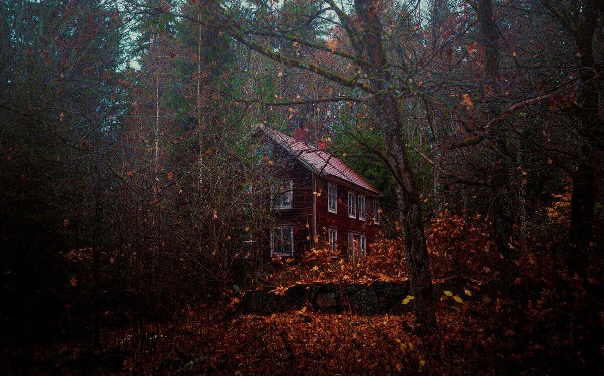 Изображение взято из открытых источников интернета. 