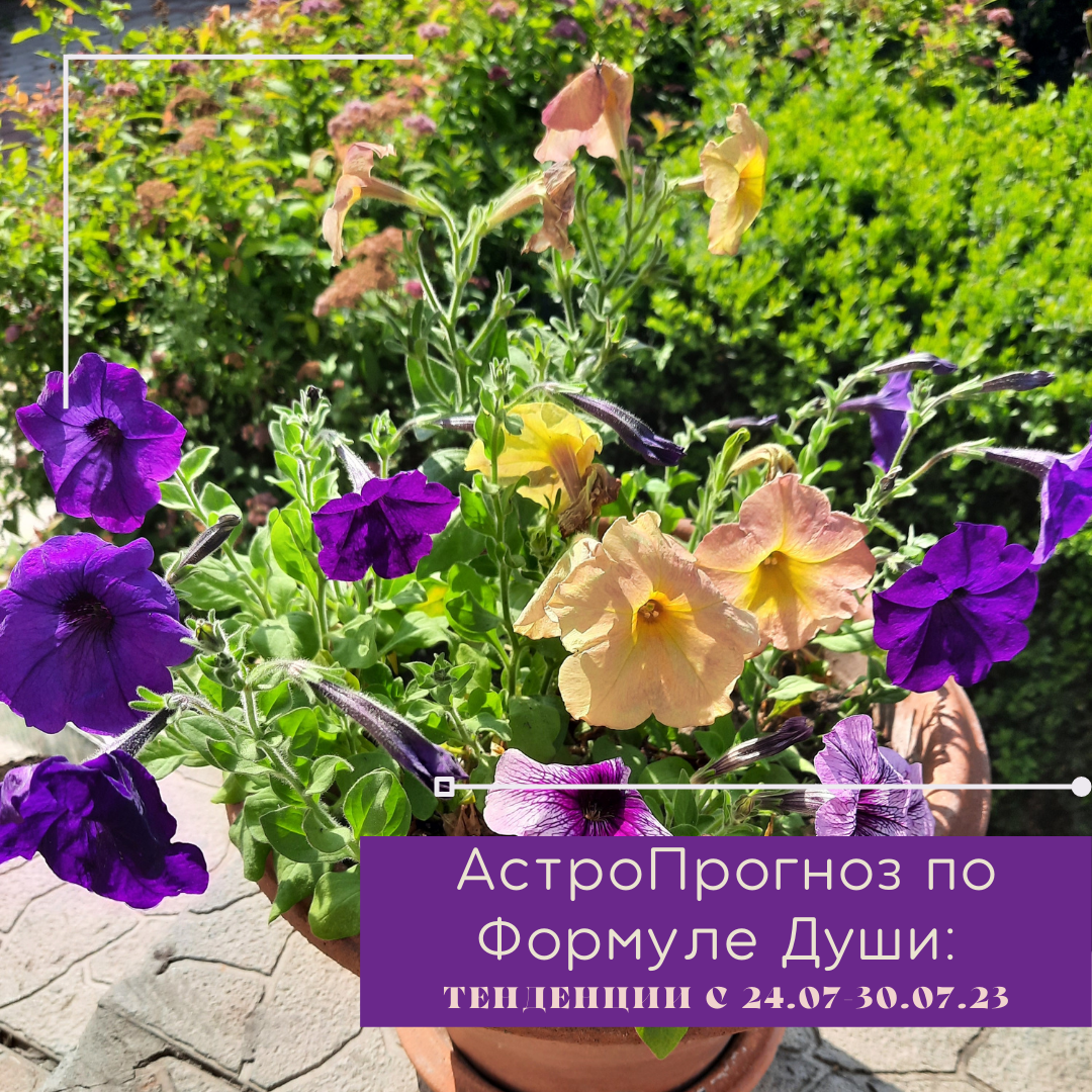 Астропрогноз по Формуле Души: Тенденции с 24.07-30.07.23 Фото Автора