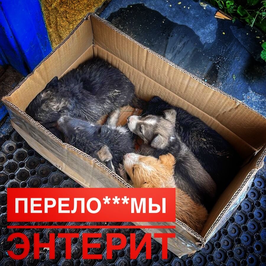 Малыши в критическом состоянии