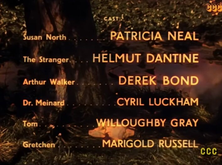 Скриншот финальных титров