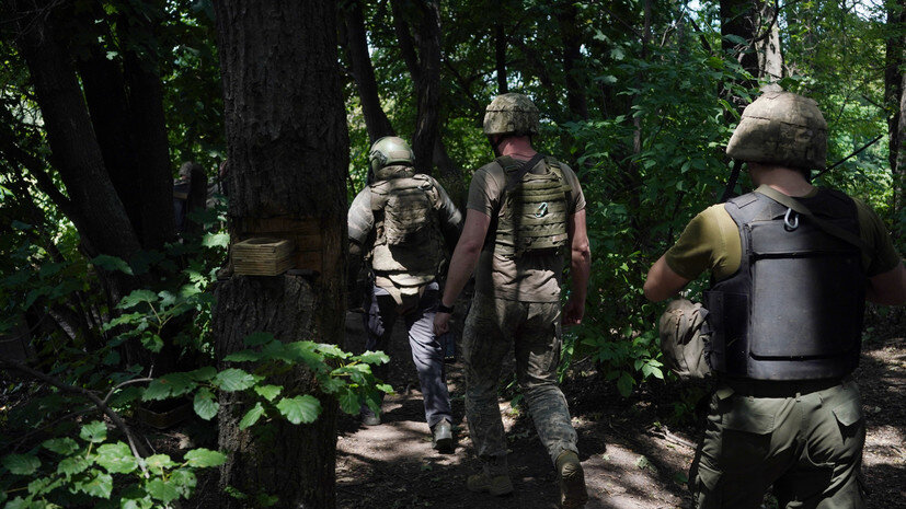  Gettyimages.ru Jose Colon/Anadolu Agency