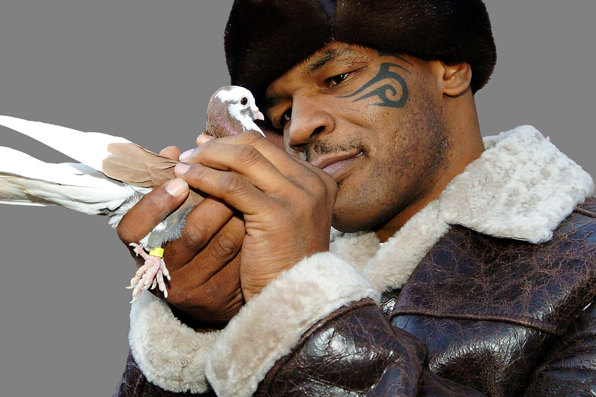     Голуби Майка Тайсона, живопись Сталлоне и другие милые хобби самых брутальных знаменитостей