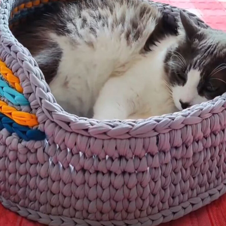 15 способов сделать уютный домик для кошки своими руками