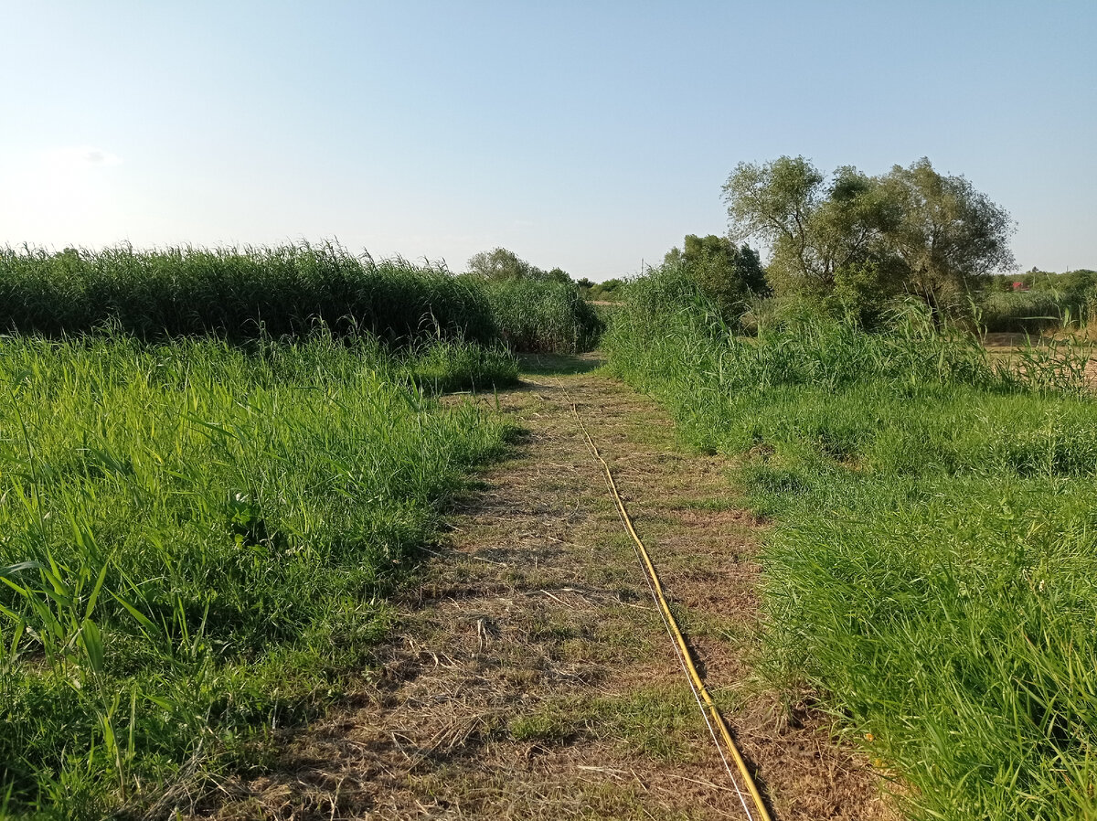 Тропа к копанке. 