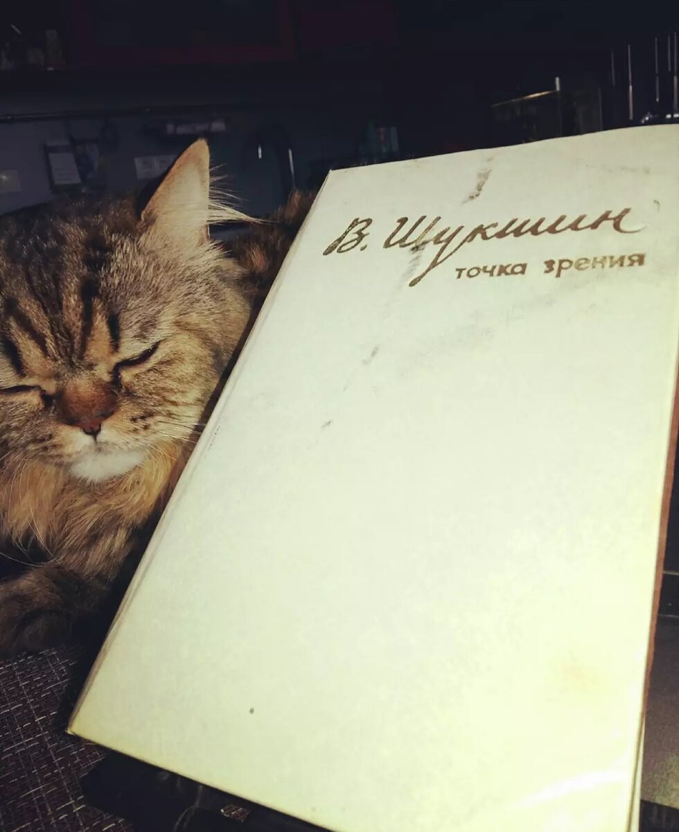 Филя и Шукшин