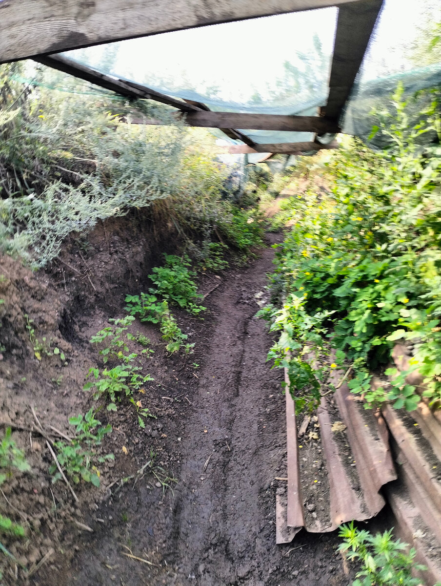 Фото 1. Окоп первая сотня.