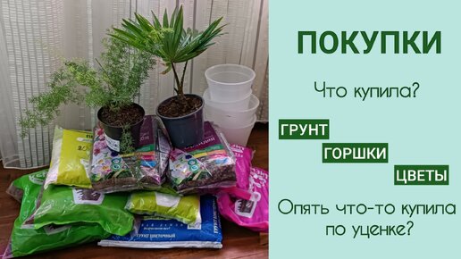 Опять уценка. Покупки для цветов