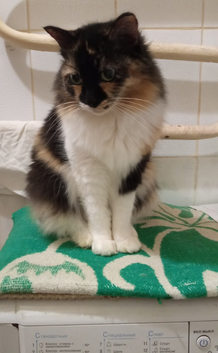 Катя на любимой стиральной машинке