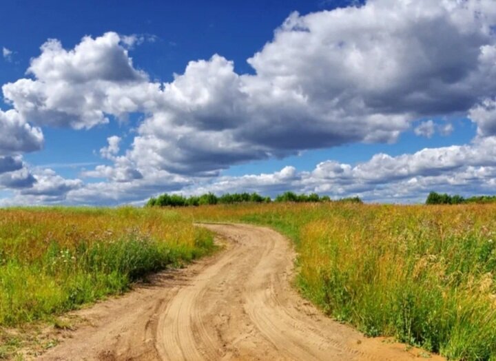 Из открытого доступа