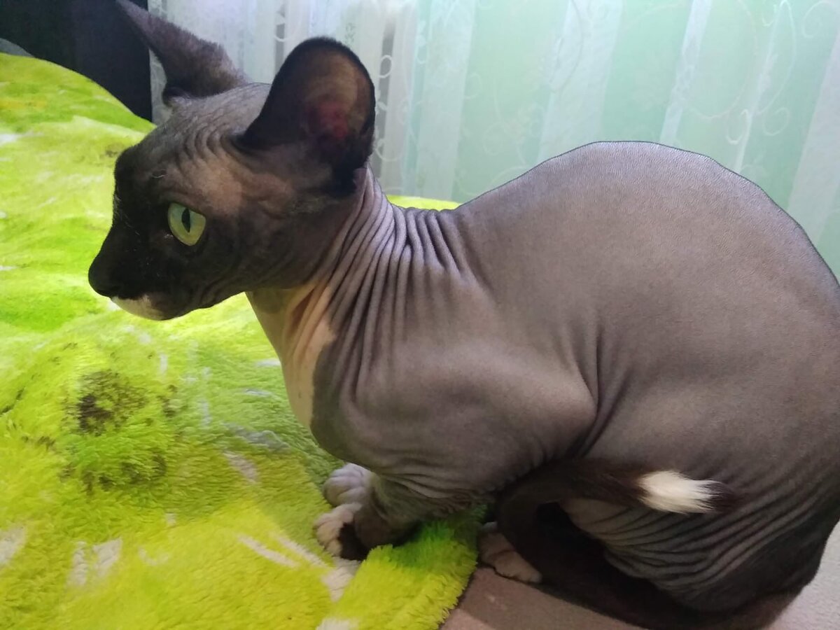 Картинка из домашнего архива