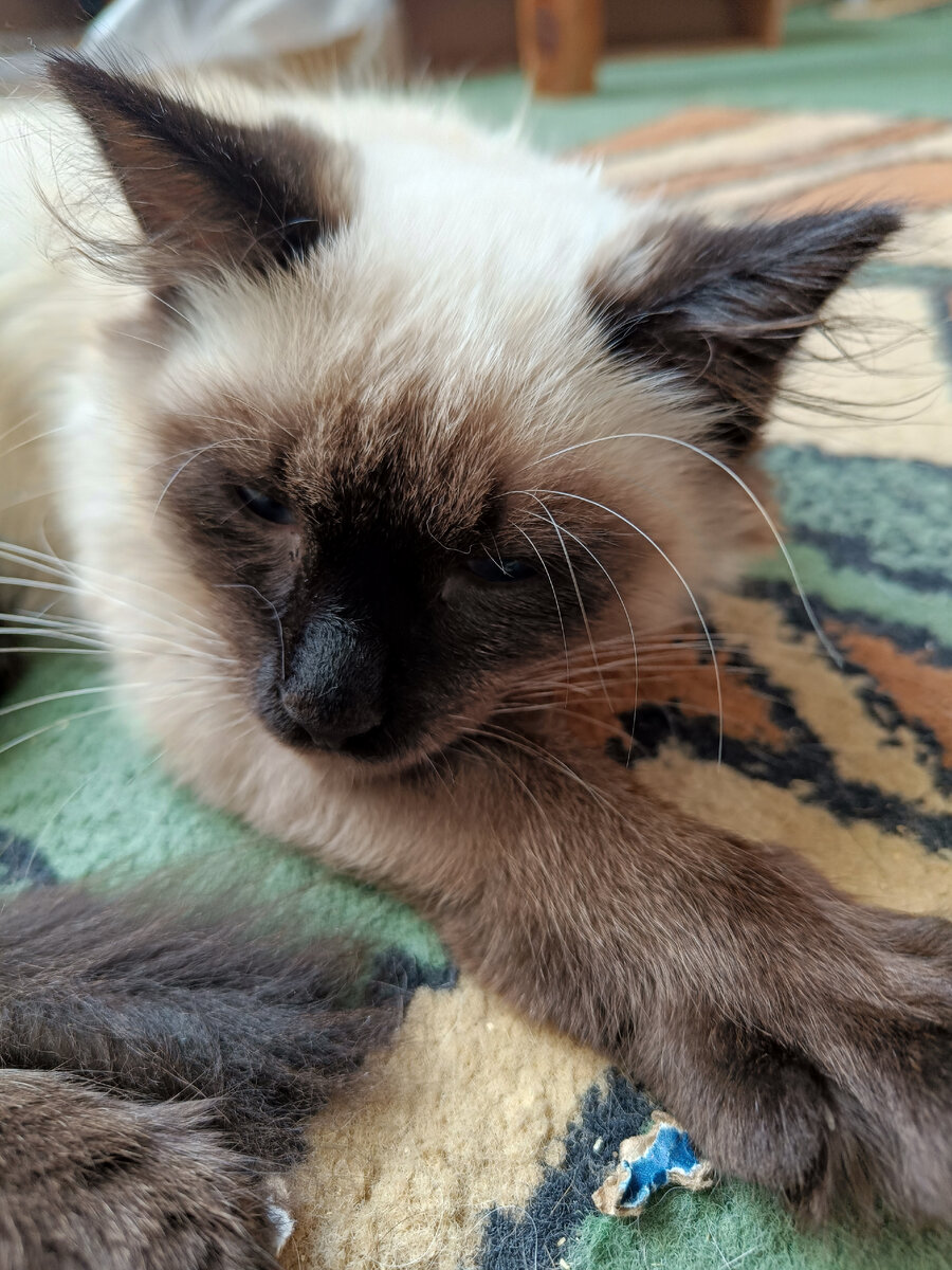 Плохо ребёнку 