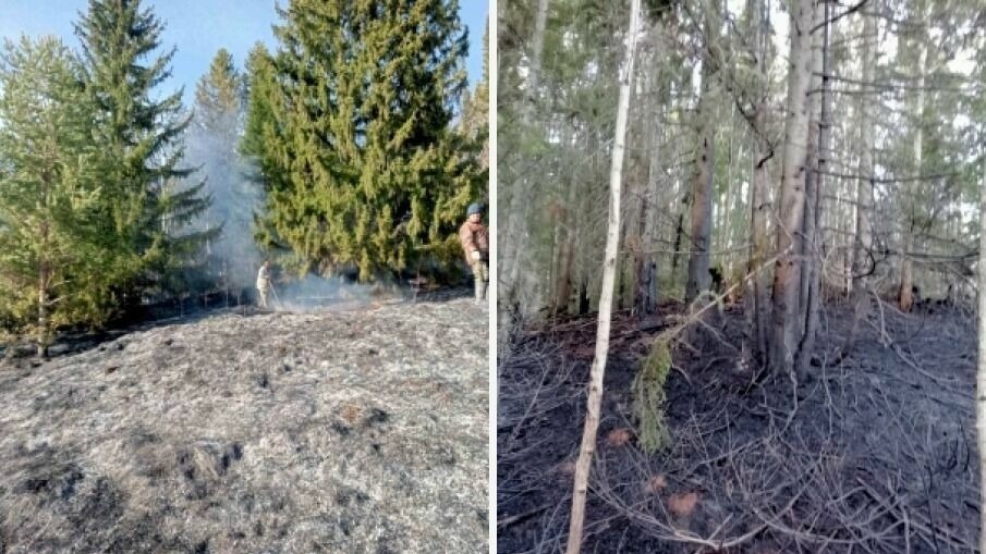     Ограничение введено до 13 августа включительно.