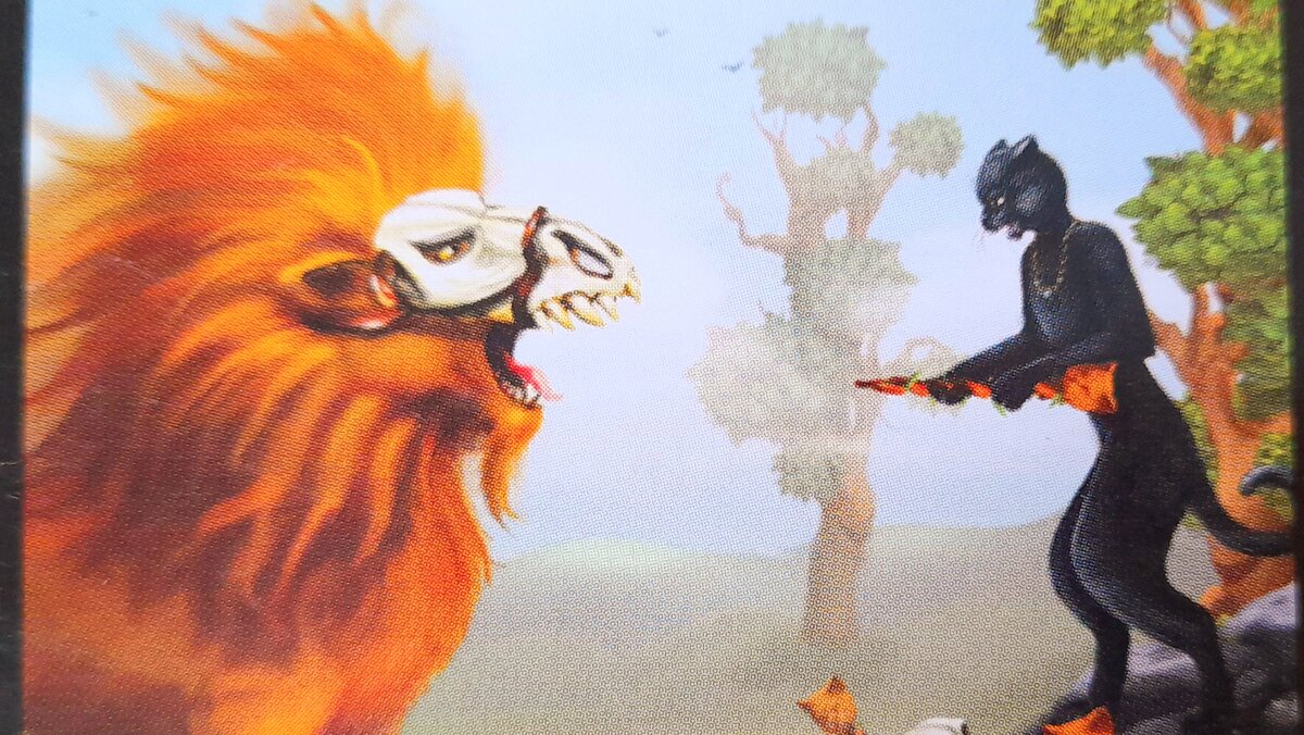 Когда кошачьи дерутся, свинячьи помалкивают