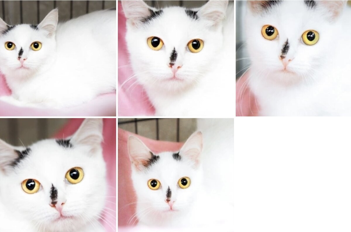 🚺 Алексия, 4 месяца. 