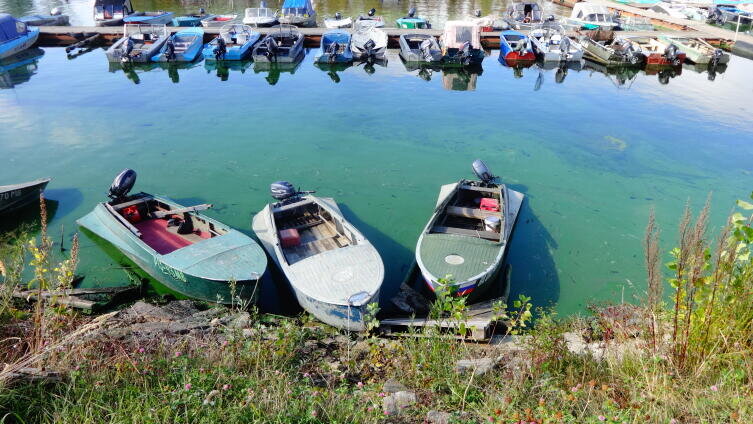    Пристань города Волжск Фото: Вера Иванчикова, личный архив