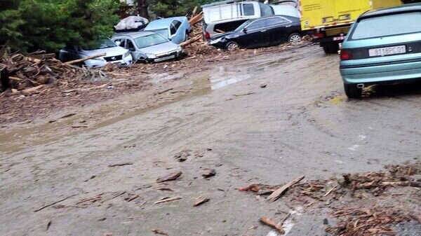    © Пресс-служба IRS