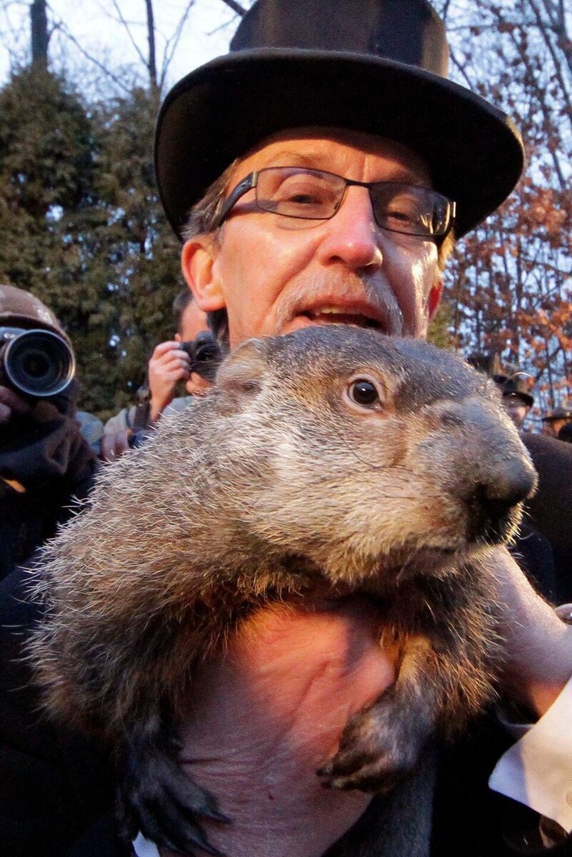 Дело сурка. Punxsutawney Phil. День сурка (Groundhog Day). Панксатонский Фил сурок.