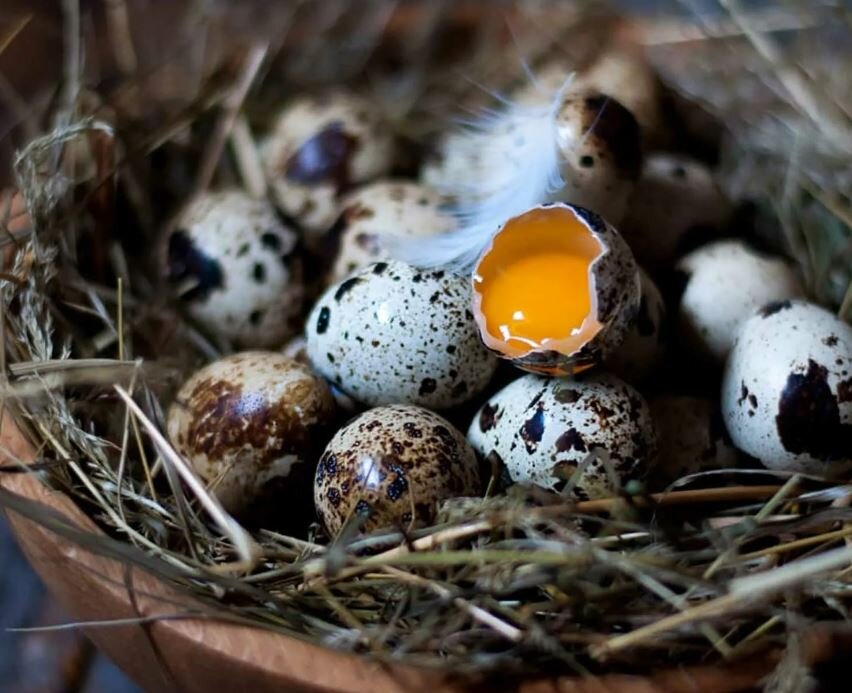 Как сварить яйца вкрутую, всмятку, в мешочек и яйца-пашот