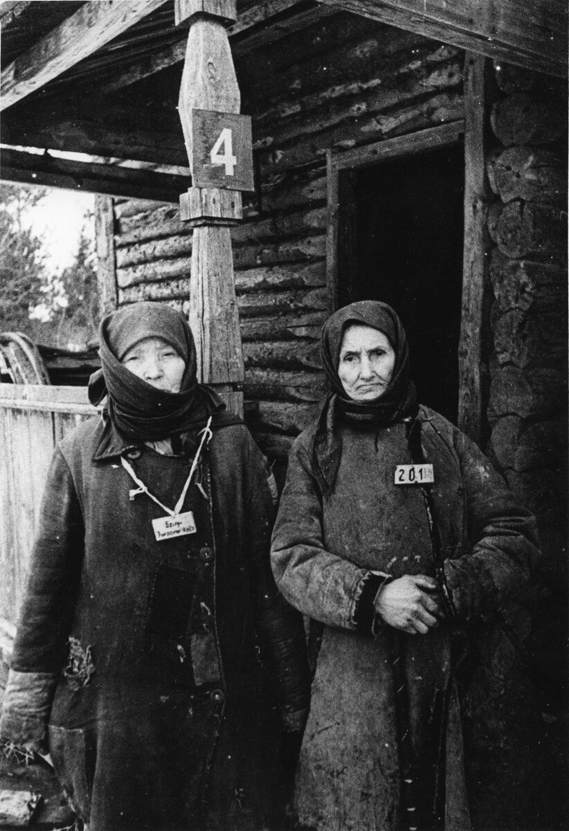 Вязьма серго ивановское. Вязьма серго ивановское