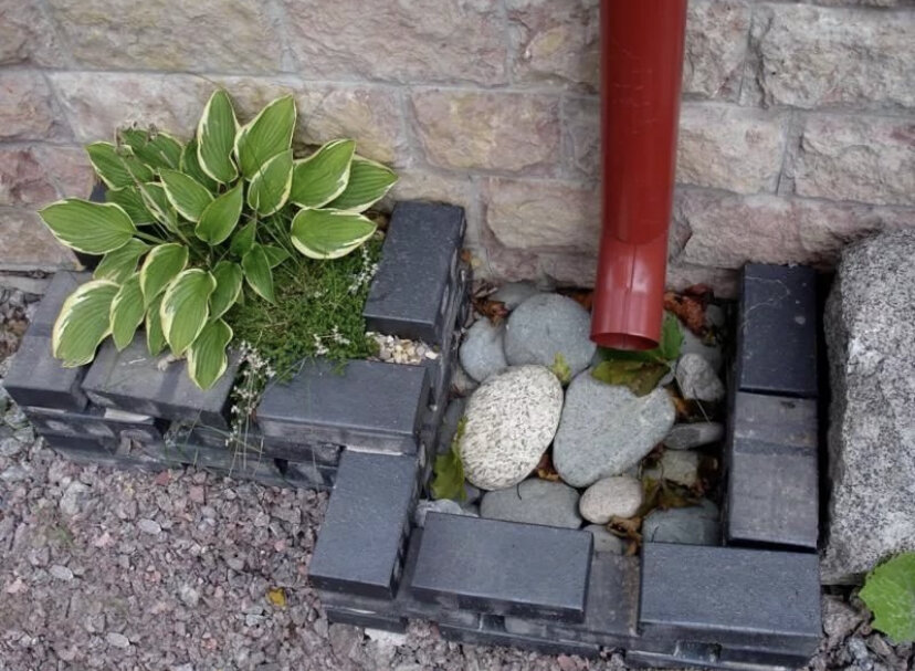 Целая композиция у водостока