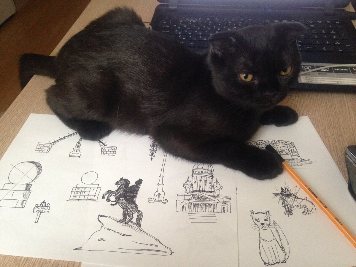 фото и черный кот - автора. ) 