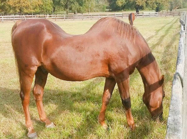 Источник фото сервис Яндекс.Картинки