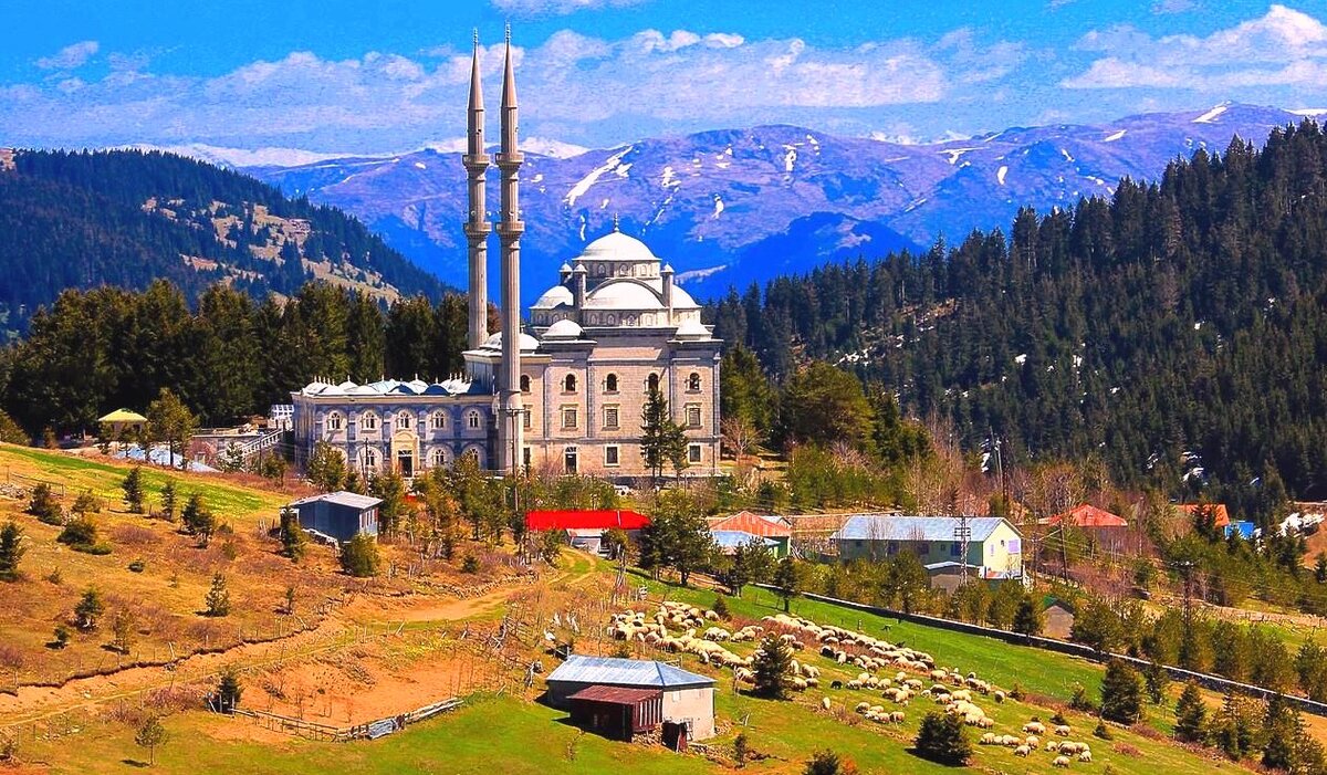 Иллюстрация взята из отрытых источников в интернете.