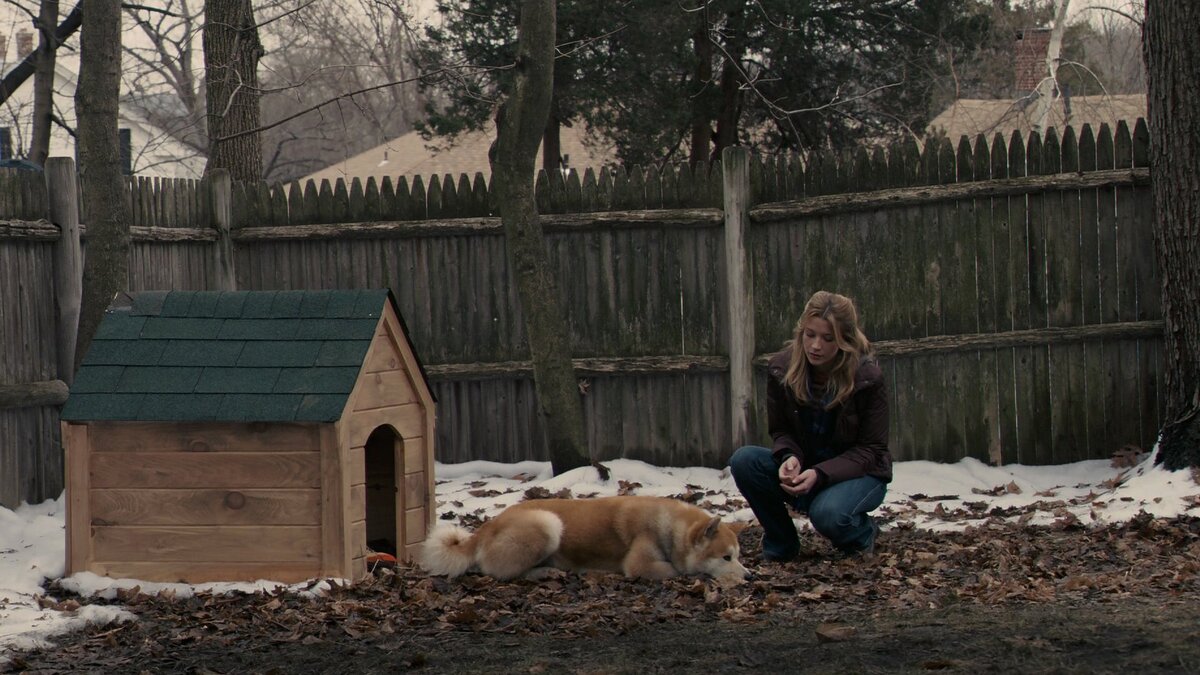 Кадр из фильма "Хатико: Самый верный друг"