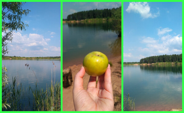 Фото яблока