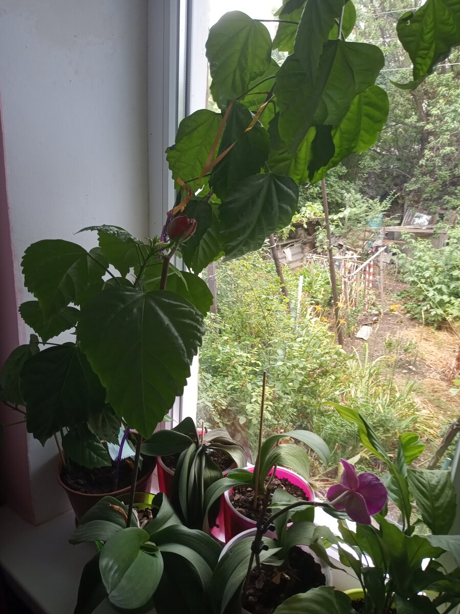 Фото автора.