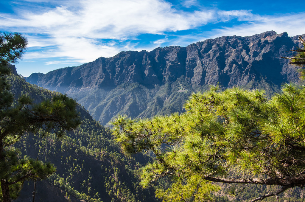 Яндекс картинки. Канарские острова