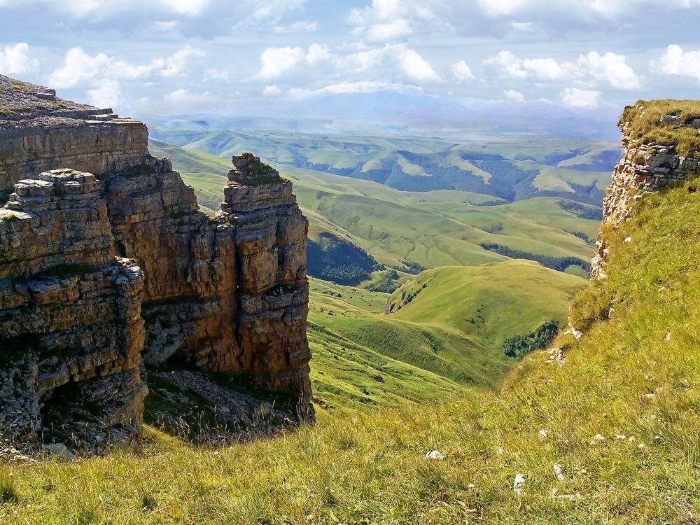 Фото взято из Яндекс Картинки.