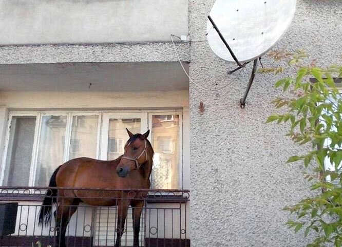 Разъяснения Минстроя