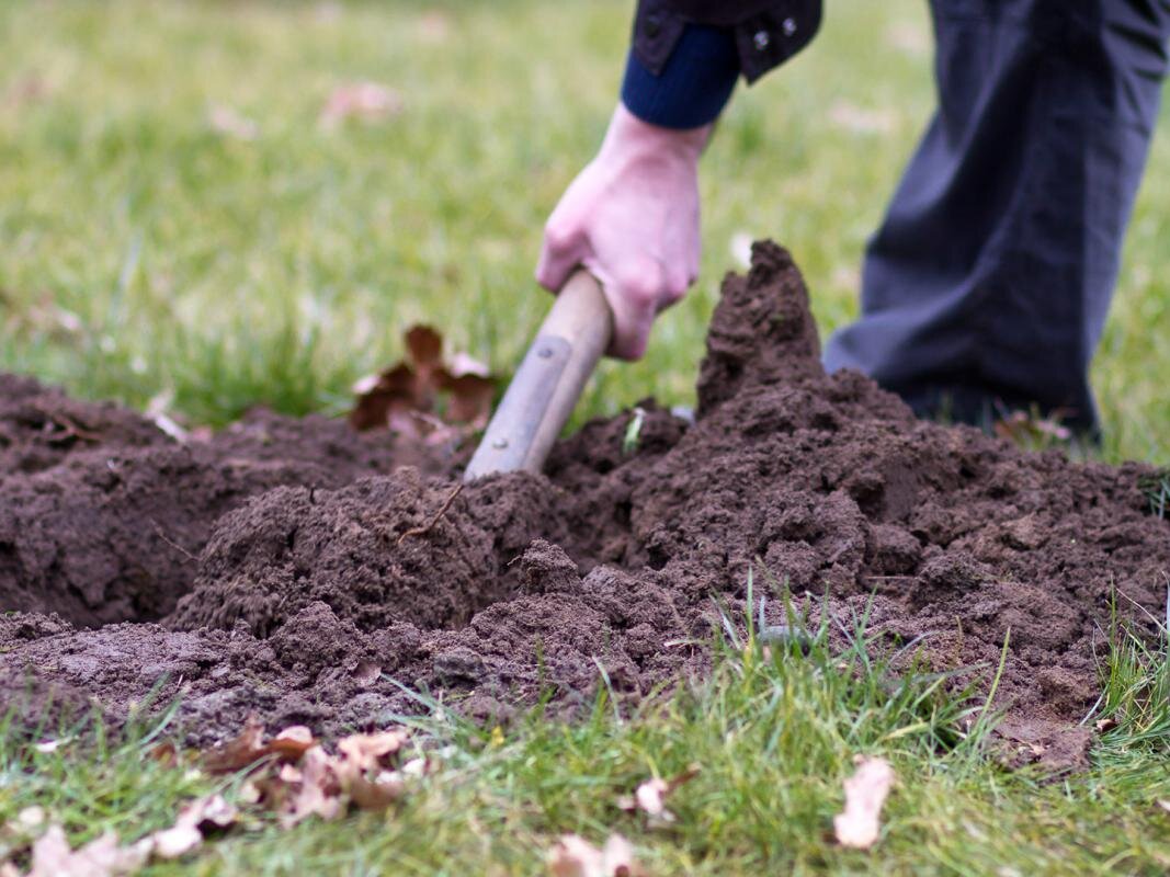 Фото: diybook.de