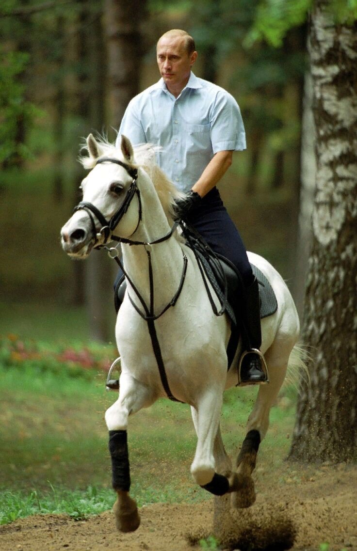 Путин Владимир Владимирович на коне