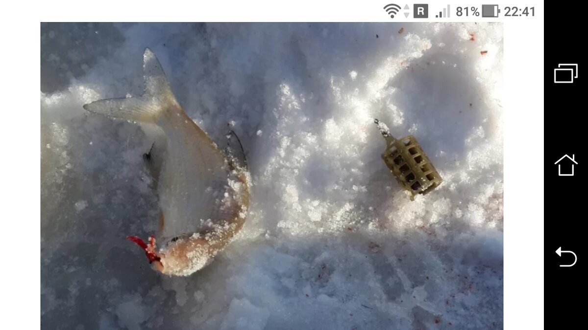 фото Фидер со льда, зимняя оснастка + схема монтажа