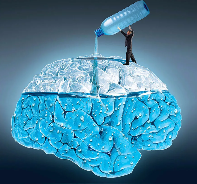 Фото: Яндекс картинки.