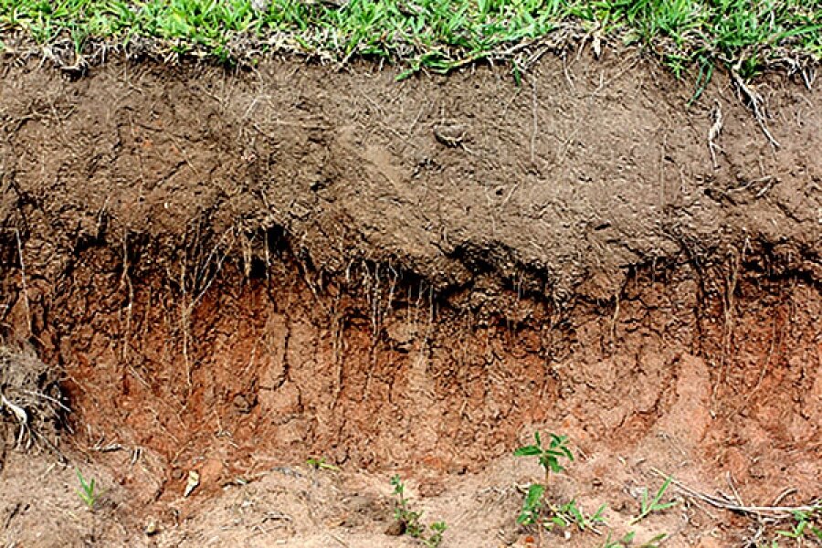 Почвы очень бедные либо вообще не формируются. Гумусированная супесь. Земля суглинок. Почвенный слой земли. Грунт в разрезе.