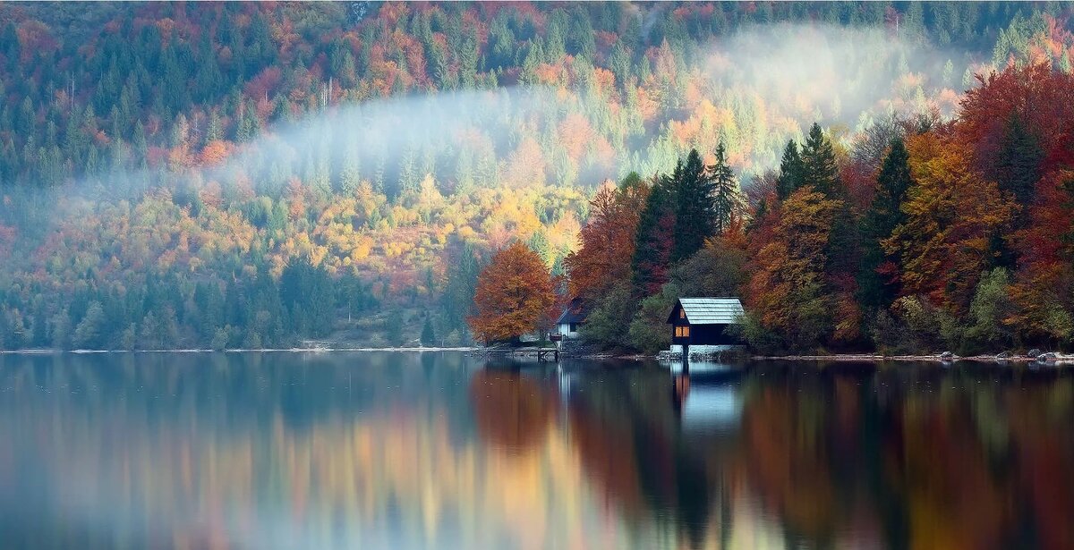 фото яндекс картинки